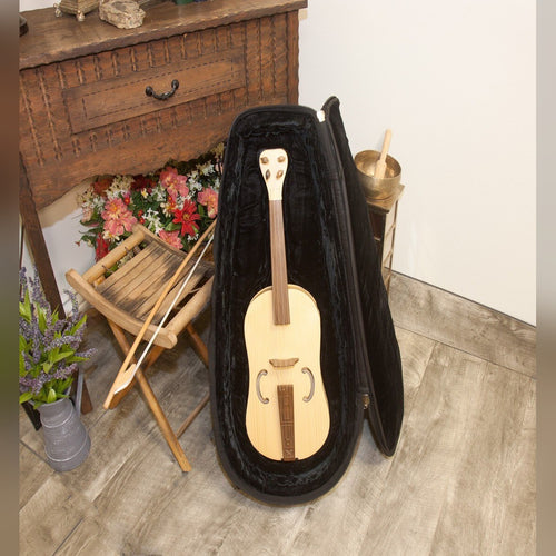 Roosebeck Medieval Fiddle 4-String in its open padded gig bag