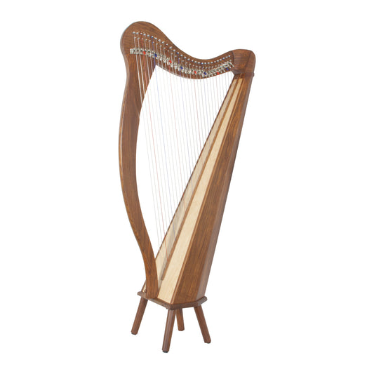 Roosebeck Minstrel Harp — 29-String 5-Panel with Pedestal front view