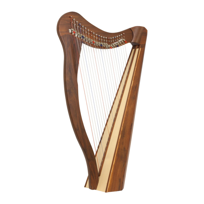 Roosebeck Heather Harp — 22-String 5-Panel Chelby Levers front view