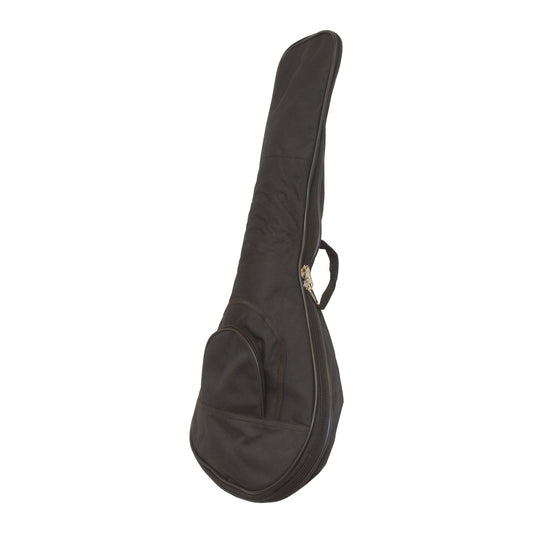 Roosebeck Padded Gig Bag for Descant Lute stock photo