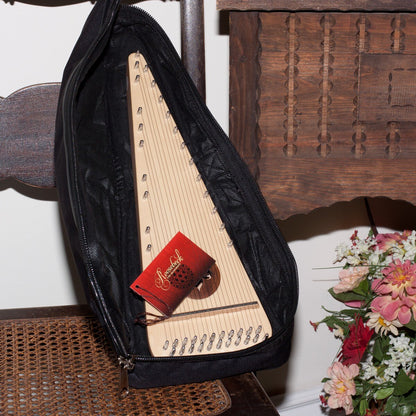 Soprano psaltery inside the open Roosebeck gig bag