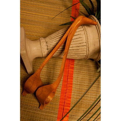 Roosebeck bird spoons ready to play