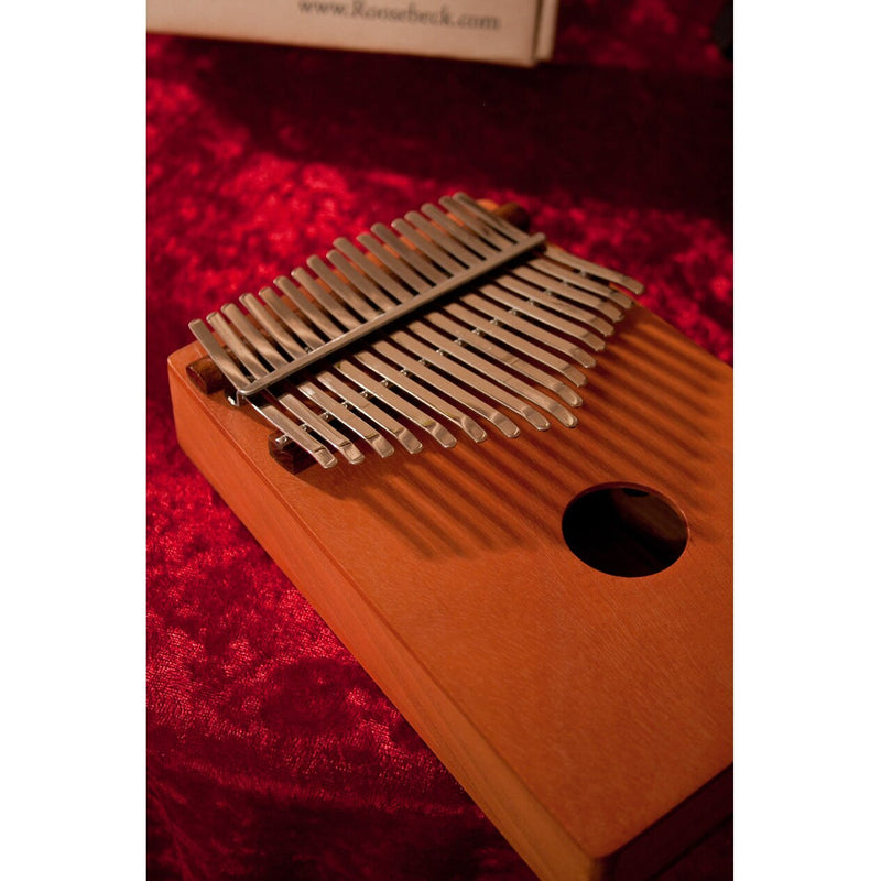 Steel keys of the Roosebeck red cedar kalimba