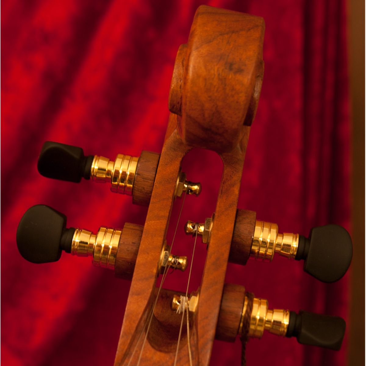 Roosebeck Emma Mountain Dulcimer — 4-String Sheesham gold tuners view