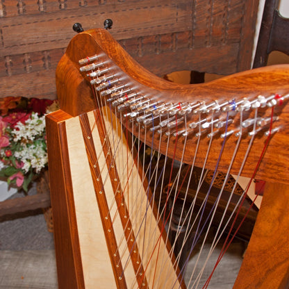 Roosebeck Caitlin Cross-Strung Harp, neck, tuning pins and string rows
