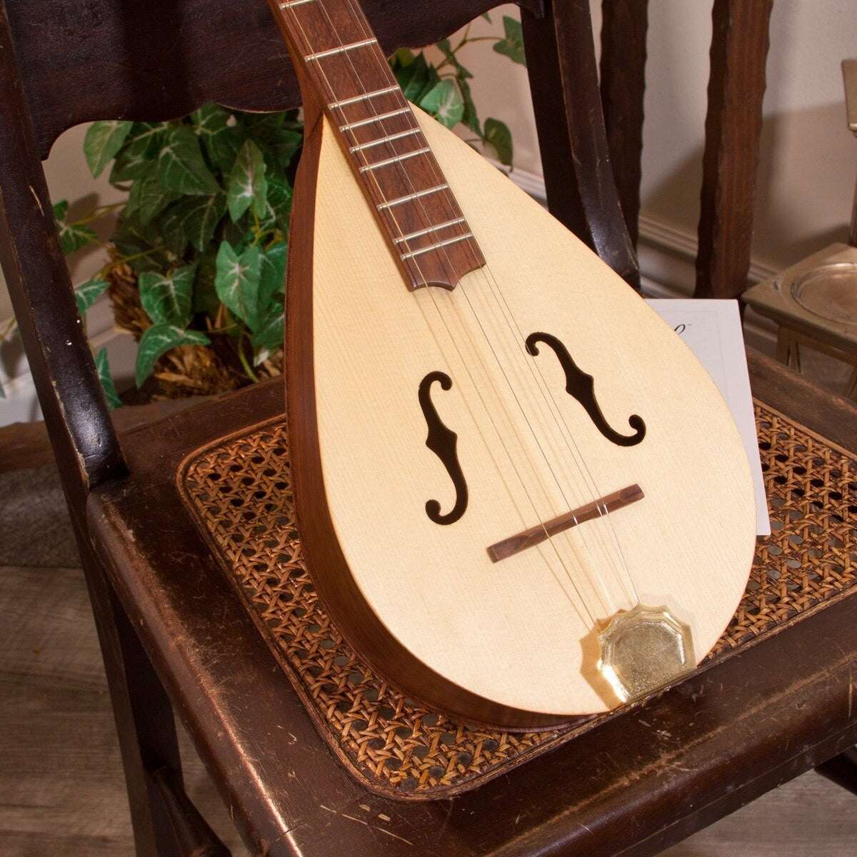 Roosebeck Deluxe Wildwood Dulcimer, spruce top with f-hole openings