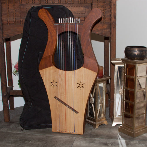 Roosebeck Kinnor Harp 10-String with its padded gig bag