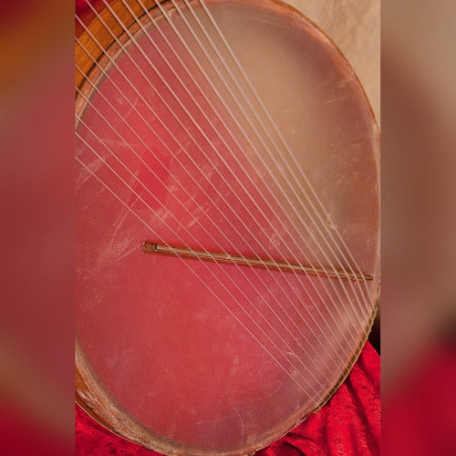 Roosebeck Nevel Harp 15-String, round soundboard and bridge
